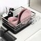 Countertop Dish Drying Rack, Stainless Steel Dish Drainer with Utensil Holder